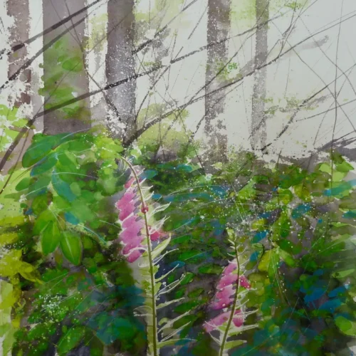 Woodland Shadows watercolour painting