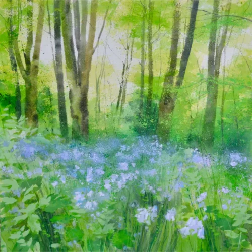 Bluebell Copse II