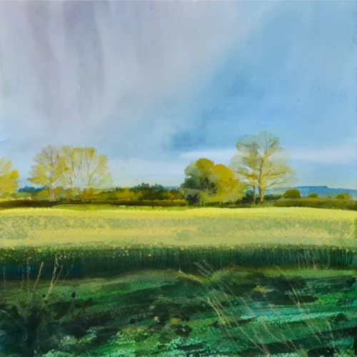 Fields in Spring