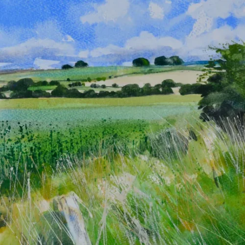 Summer Clouds