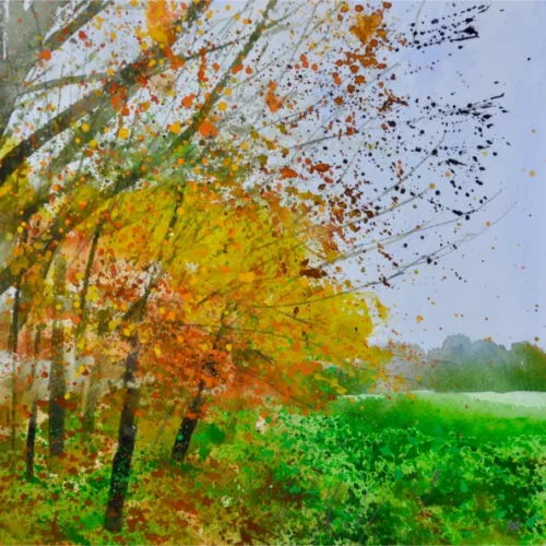 Autumn Colour